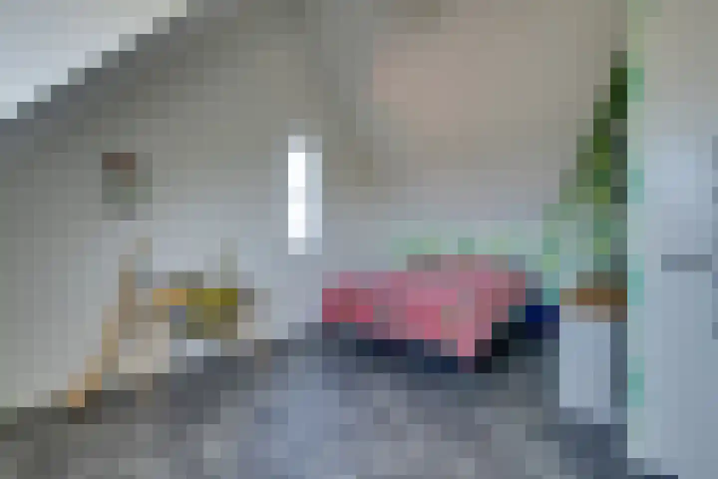 Potakker 22 Alkmaar thumbnail 51