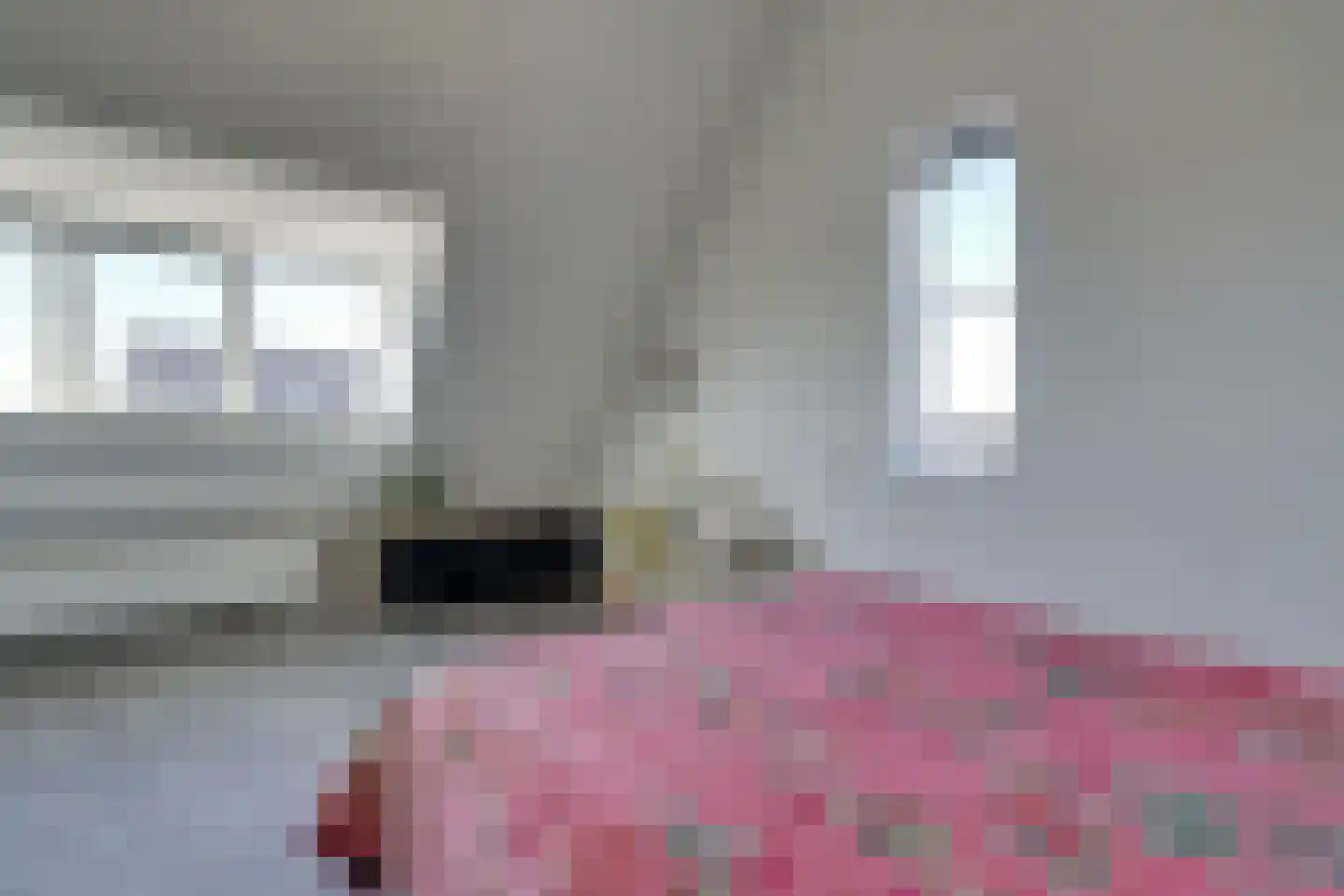 Potakker 22 Alkmaar thumbnail 53
