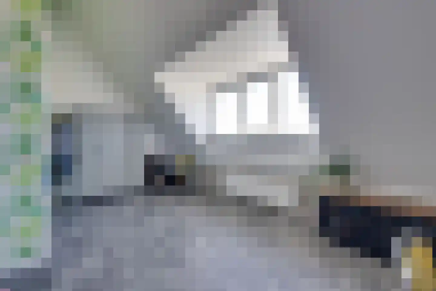 Potakker 22 Alkmaar thumbnail 54