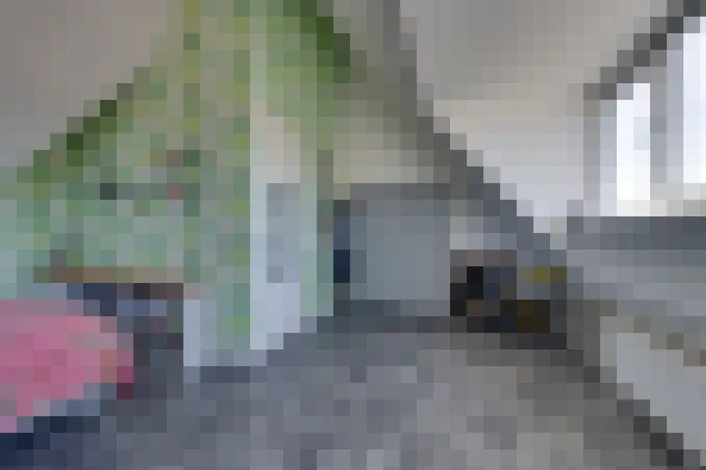 Potakker 22 Alkmaar thumbnail 56
