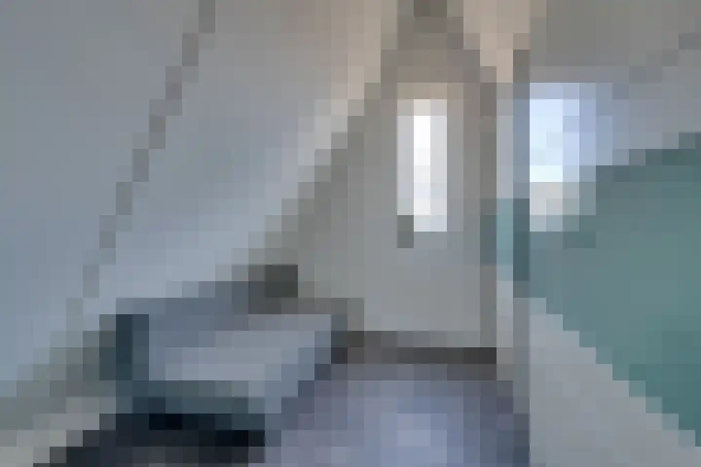 Potakker 22 Alkmaar thumbnail 57