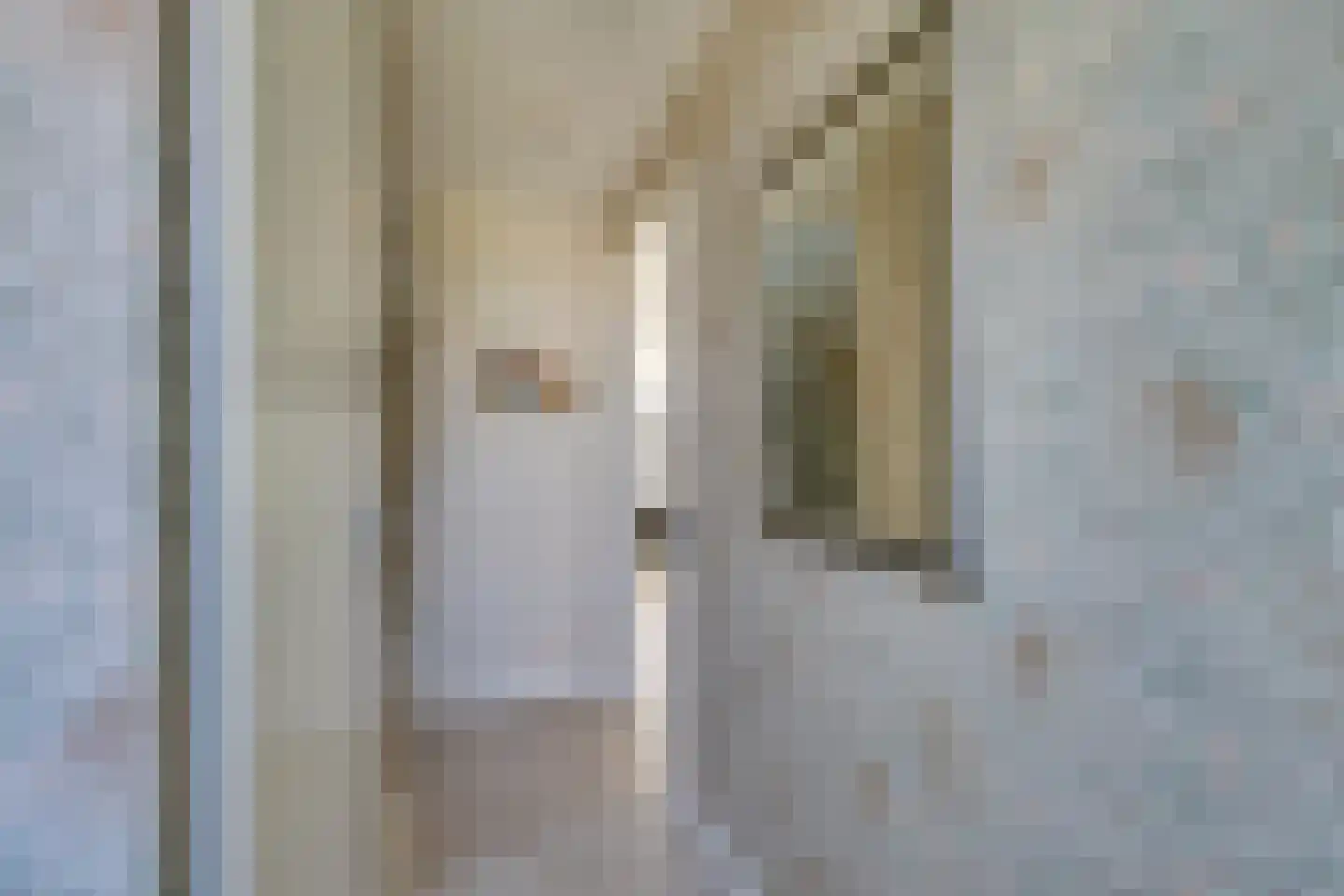 Potakker 22 Alkmaar thumbnail 6