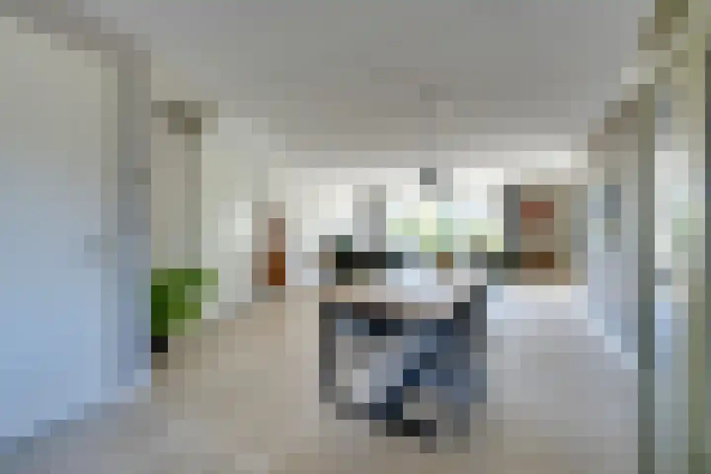 Potakker 22 Alkmaar thumbnail 7