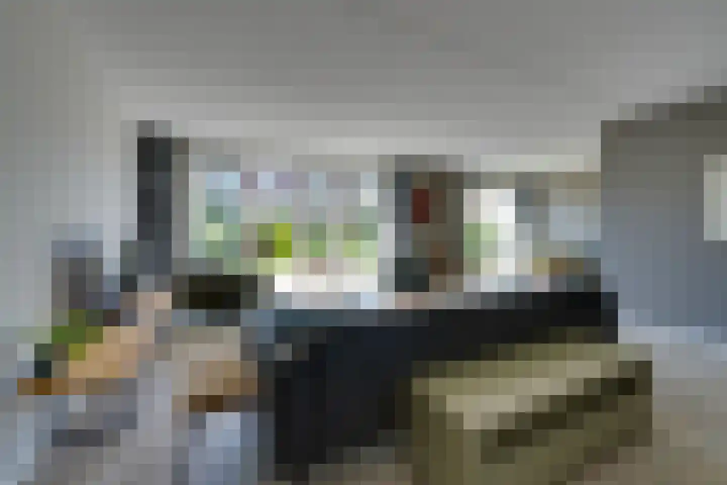 Potakker 22 Alkmaar thumbnail 9