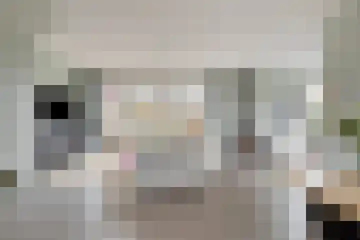 Potakker 25 Alkmaar thumbnail 10