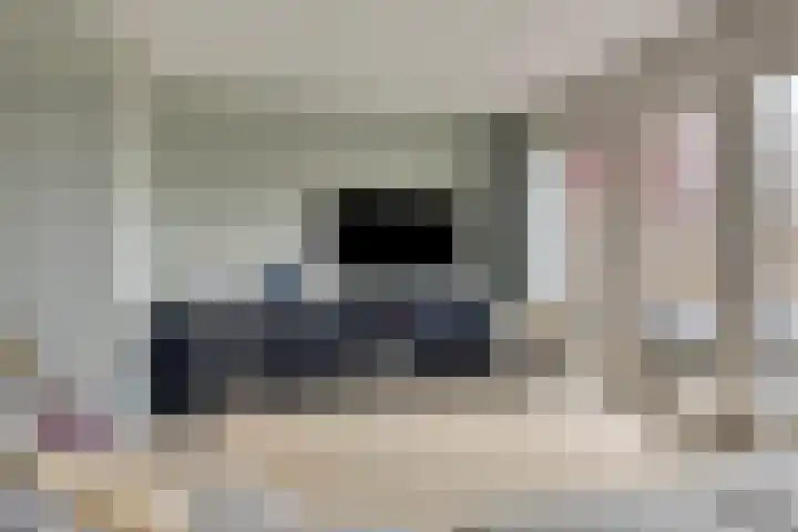Potakker 25 Alkmaar thumbnail 11