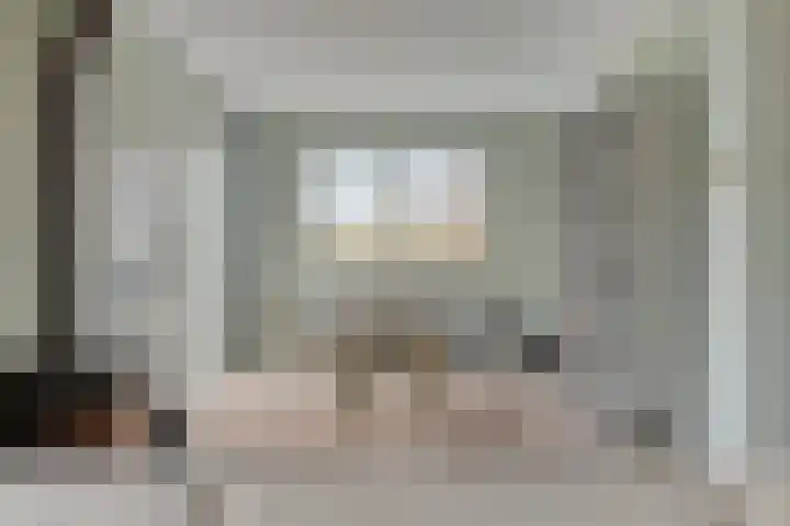 Potakker 25 Alkmaar thumbnail 12