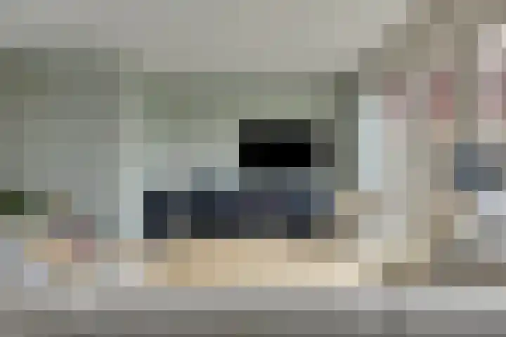 Potakker 25 Alkmaar thumbnail 15