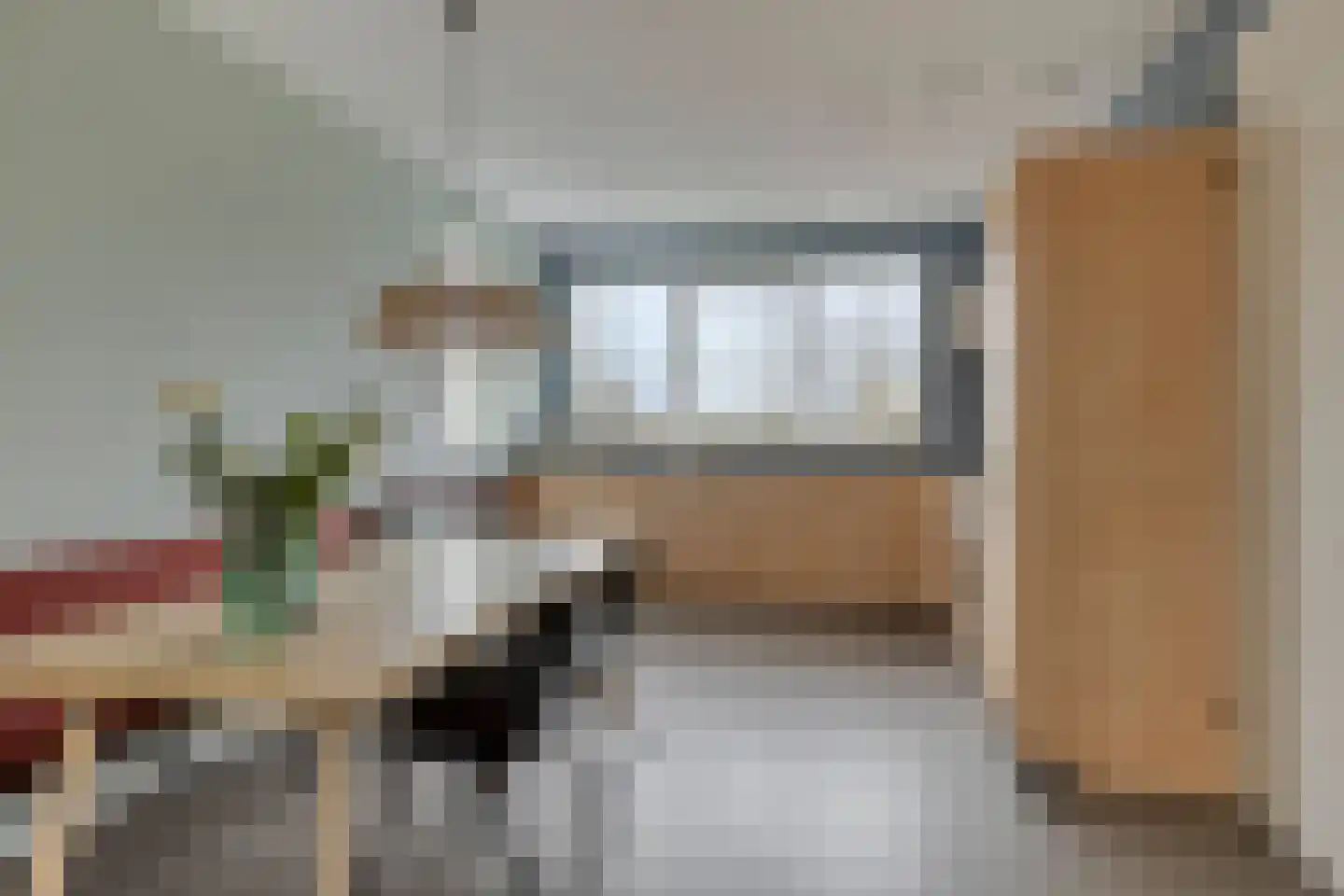 Potakker 25 Alkmaar thumbnail 17