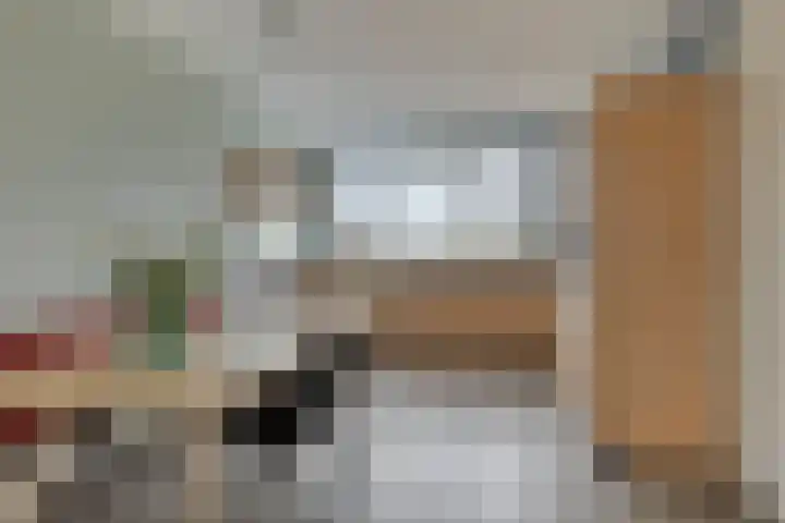 Potakker 25 Alkmaar thumbnail 17