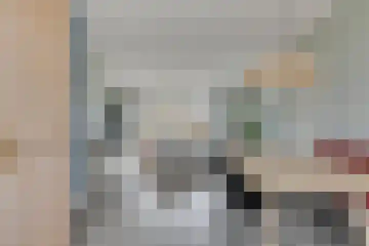Potakker 25 Alkmaar thumbnail 18
