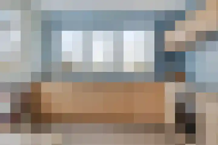Potakker 25 Alkmaar thumbnail 19