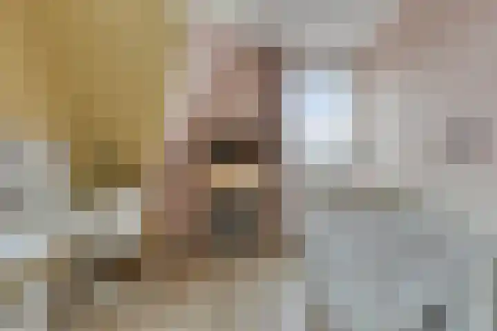 Potakker 25 Alkmaar thumbnail 22