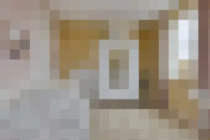 Potakker 25 Alkmaar thumbnail 23