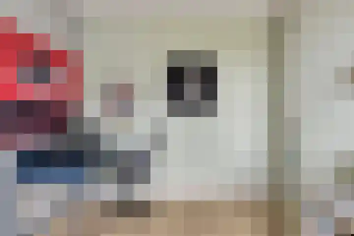 Potakker 25 Alkmaar thumbnail 25