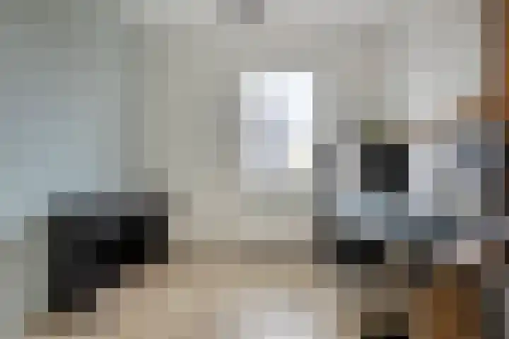 Potakker 25 Alkmaar thumbnail 26