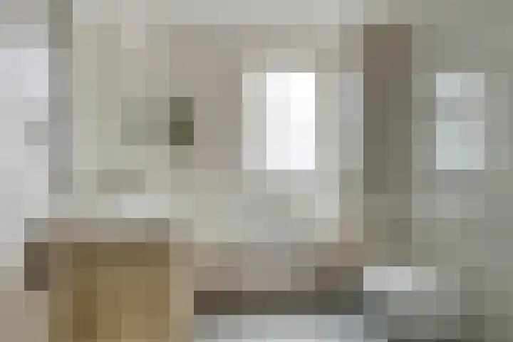 Potakker 25 Alkmaar thumbnail 28