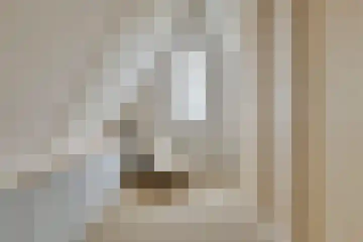 Potakker 25 Alkmaar thumbnail 31