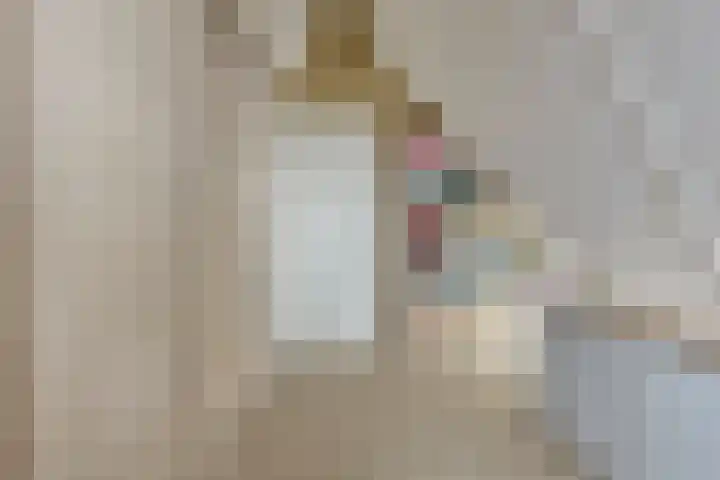 Potakker 25 Alkmaar thumbnail 32