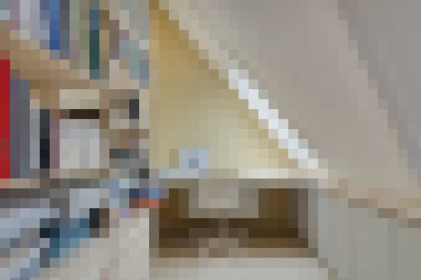 Potakker 25 Alkmaar thumbnail 33