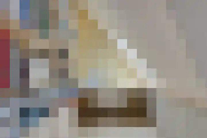Potakker 25 Alkmaar thumbnail 33