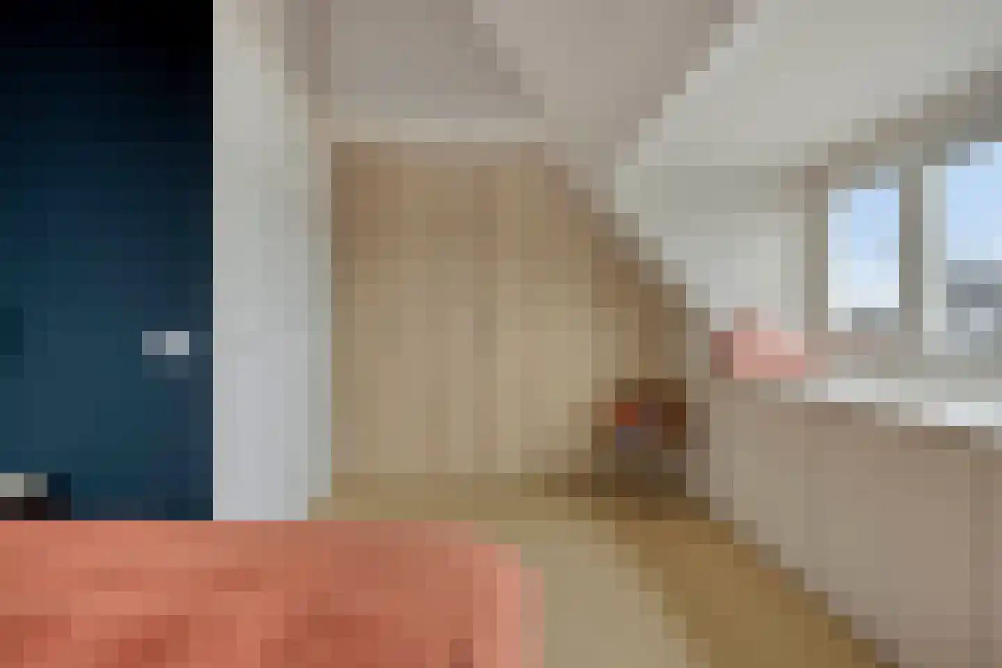 Potakker 25 Alkmaar thumbnail 35