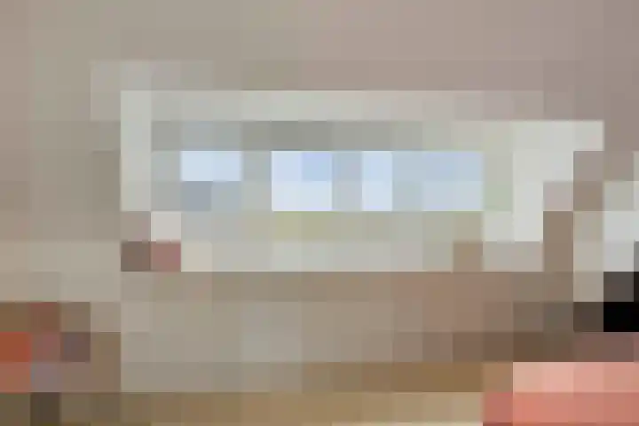 Potakker 25 Alkmaar thumbnail 36