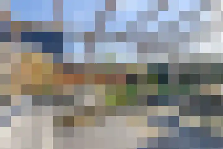 Potakker 25 Alkmaar thumbnail 37