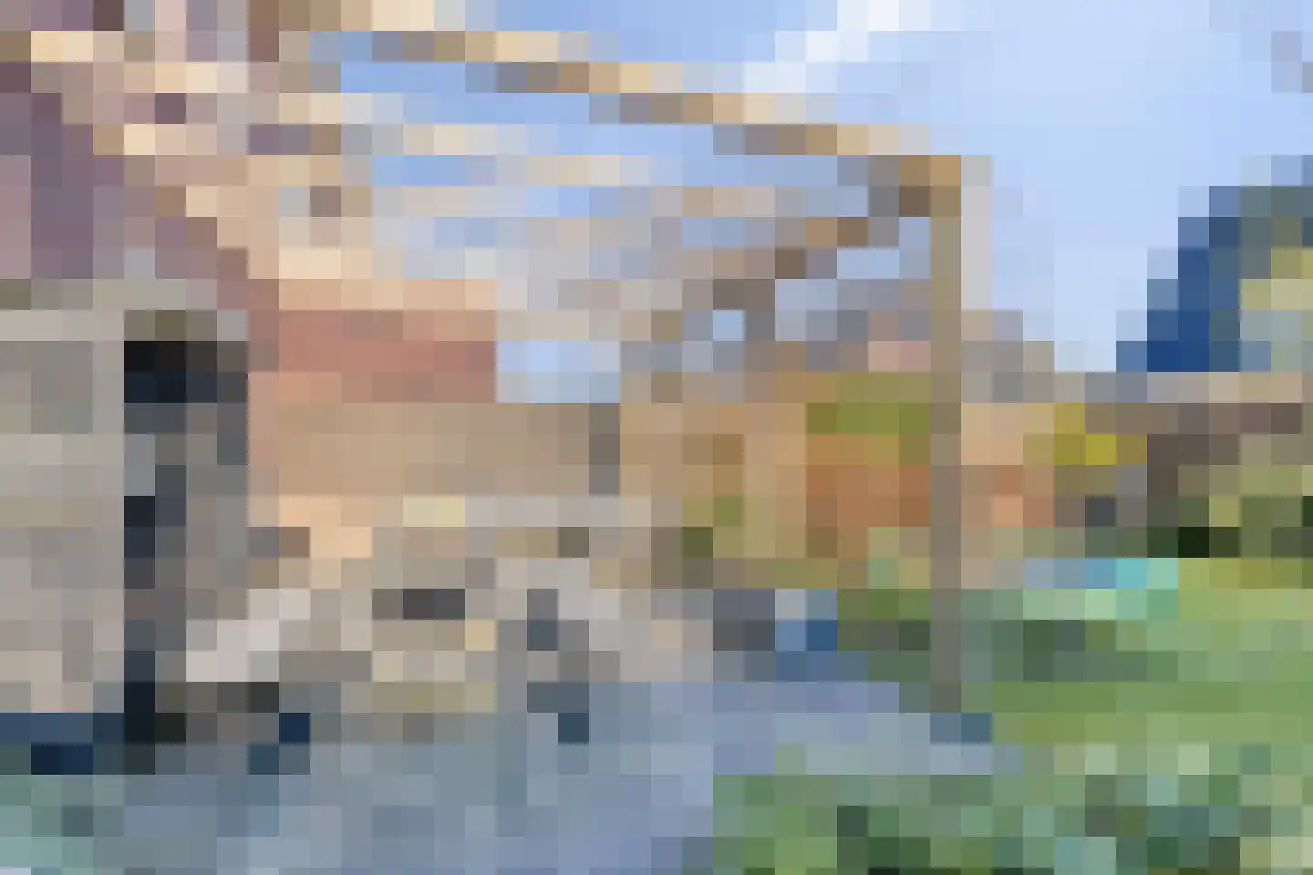 Potakker 25 Alkmaar thumbnail 39
