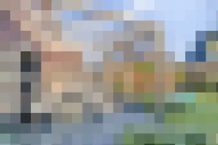 Potakker 25 Alkmaar thumbnail 39