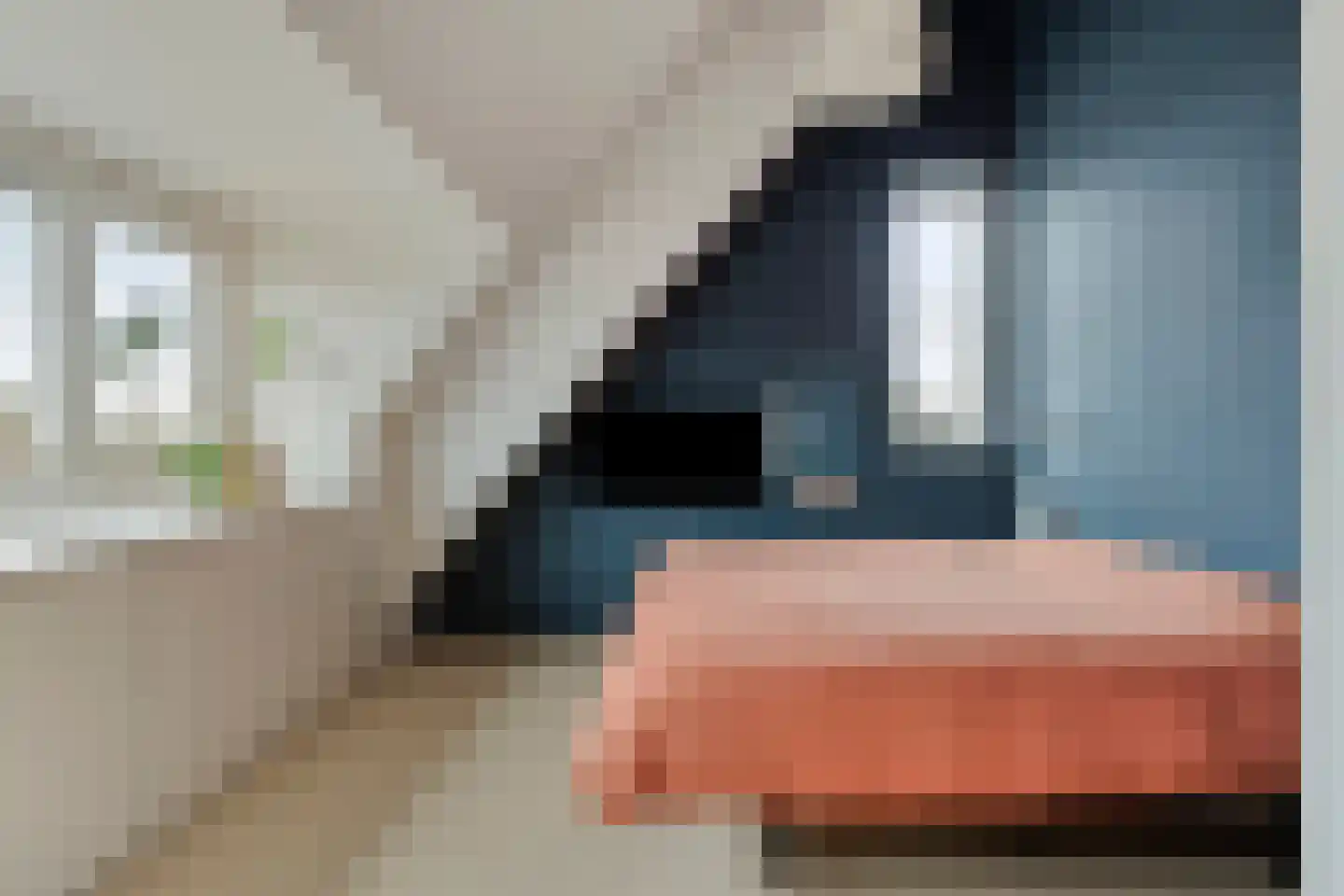 Potakker 25 Alkmaar thumbnail 4