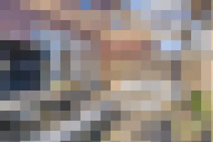 Potakker 25 Alkmaar thumbnail 40