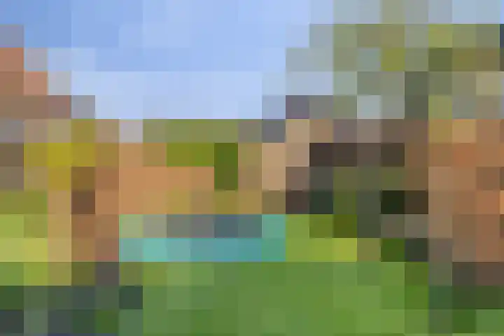 Potakker 25 Alkmaar thumbnail 41