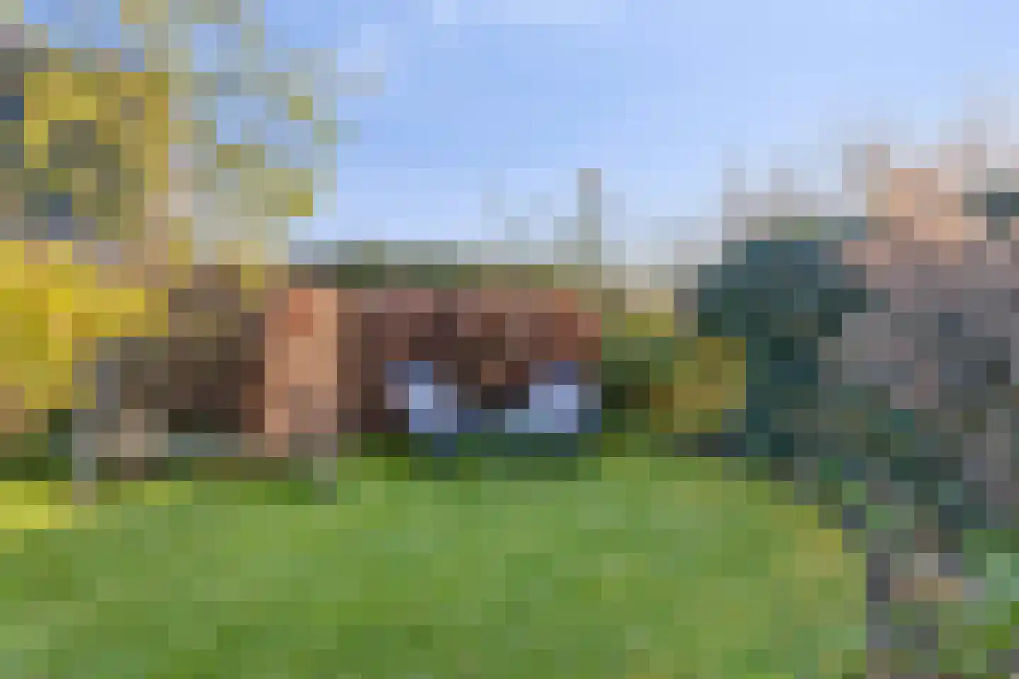 Potakker 25 Alkmaar thumbnail 42