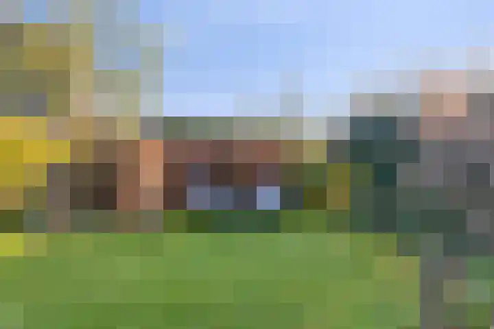 Potakker 25 Alkmaar thumbnail 42