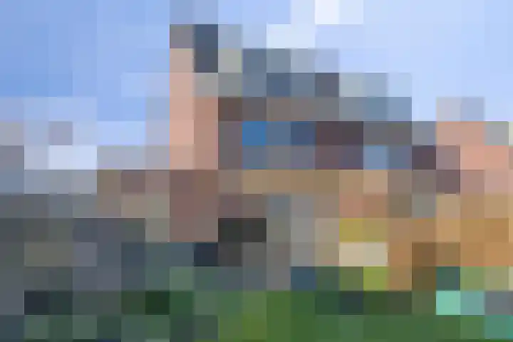 Potakker 25 Alkmaar thumbnail 43