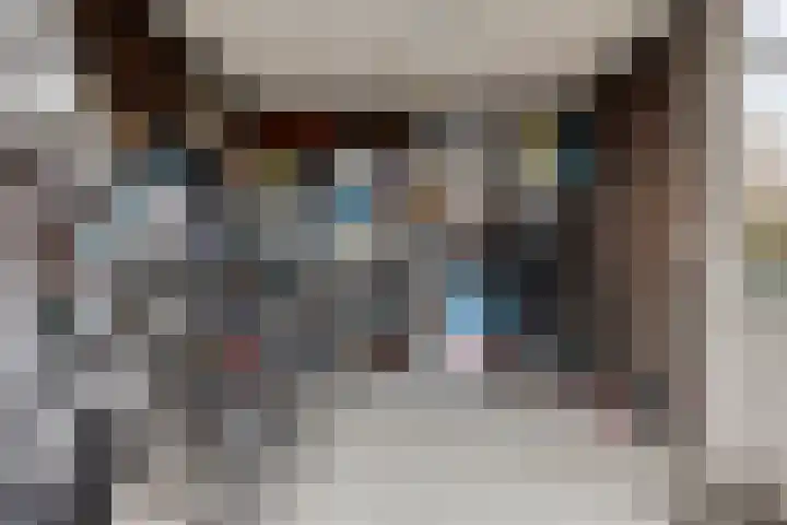 Potakker 25 Alkmaar thumbnail 45