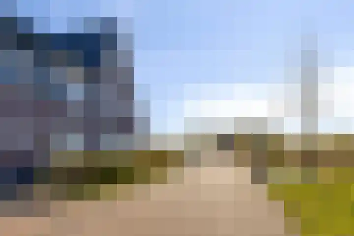 Potakker 25 Alkmaar thumbnail 46