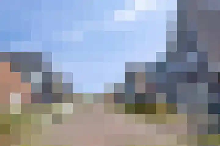 Potakker 25 Alkmaar thumbnail 47