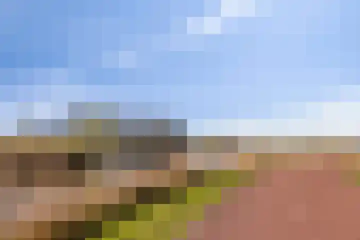 Potakker 25 Alkmaar thumbnail 49