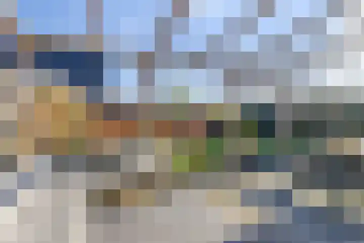 Potakker 25 Alkmaar thumbnail 5