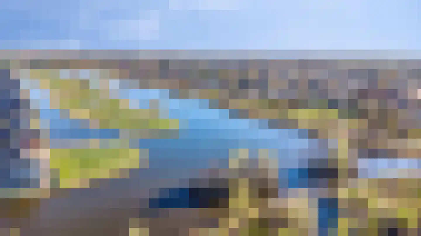 Potakker 25 Alkmaar thumbnail 50