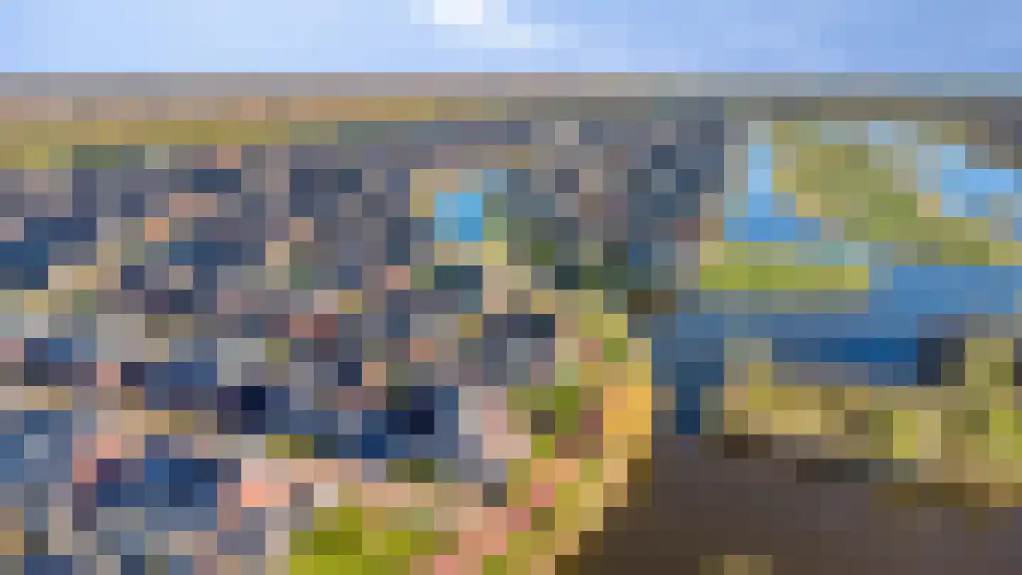 Potakker 25 Alkmaar thumbnail 51
