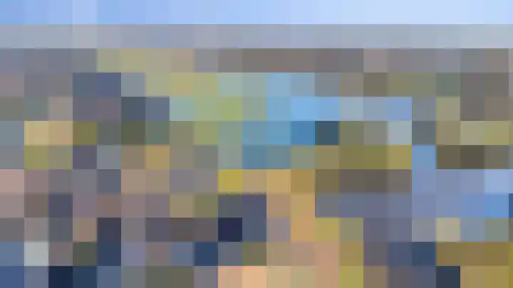 Potakker 25 Alkmaar thumbnail 52
