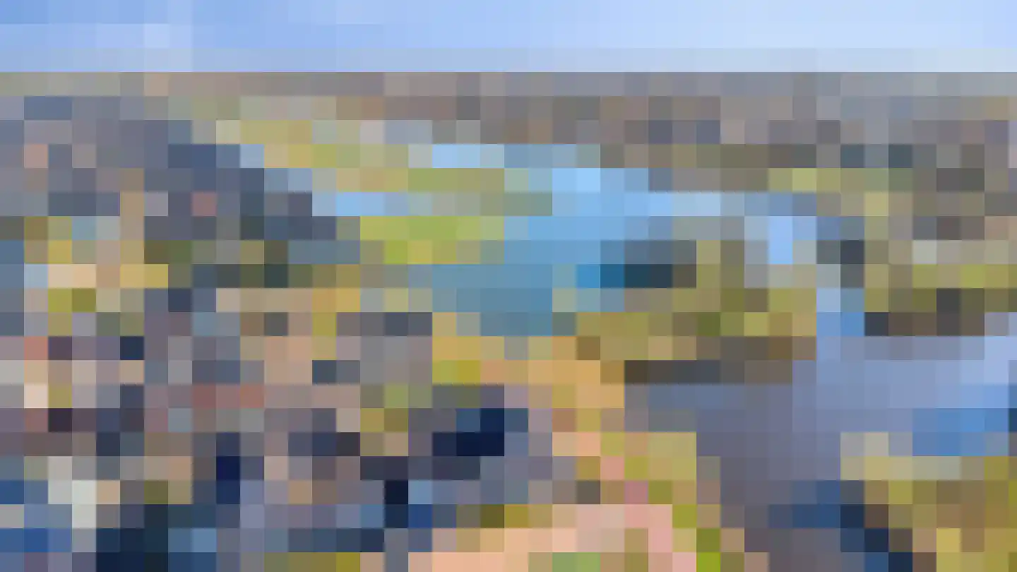 Potakker 25 Alkmaar thumbnail 52