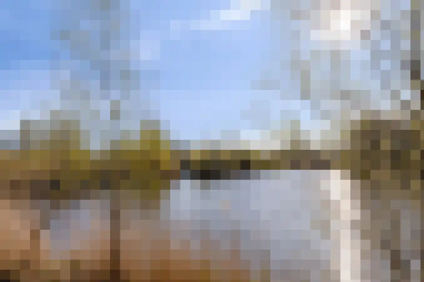 Potakker 25 Alkmaar thumbnail 55