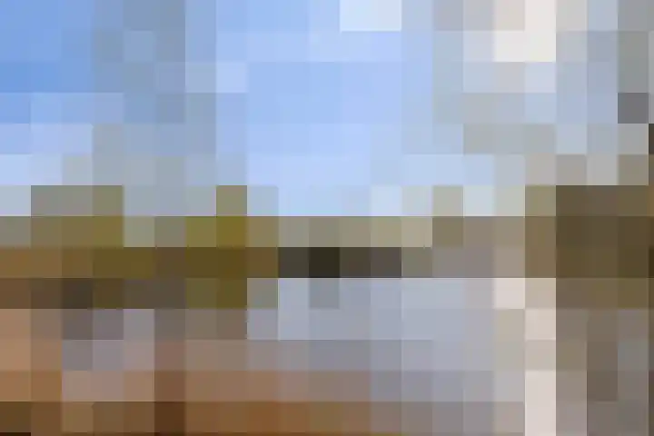 Potakker 25 Alkmaar thumbnail 55