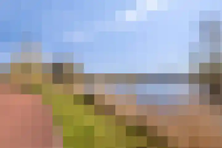 Potakker 25 Alkmaar thumbnail 56