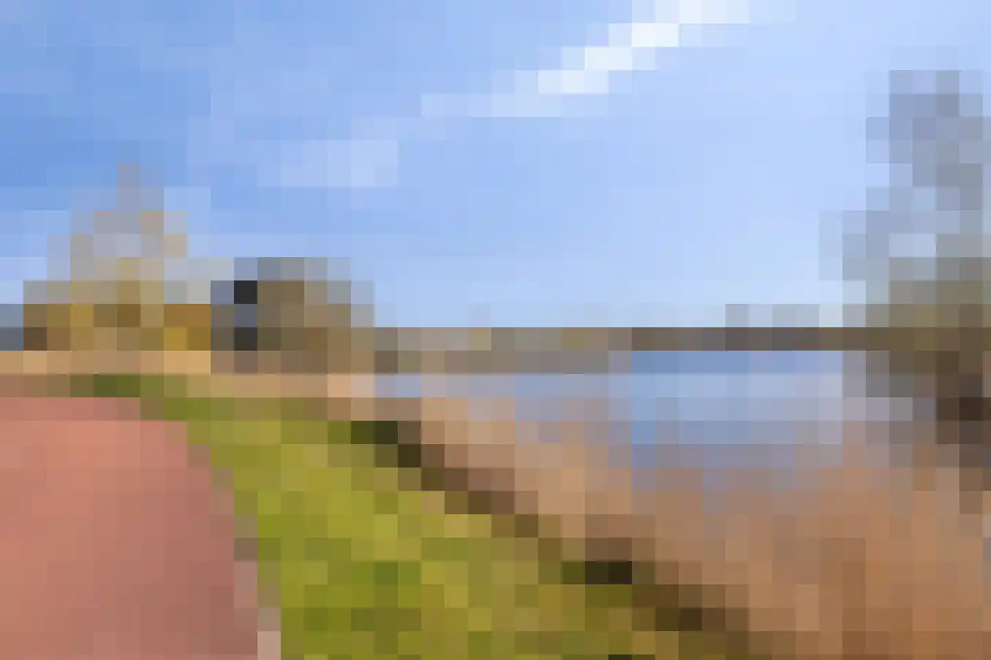 Potakker 25 Alkmaar thumbnail 56