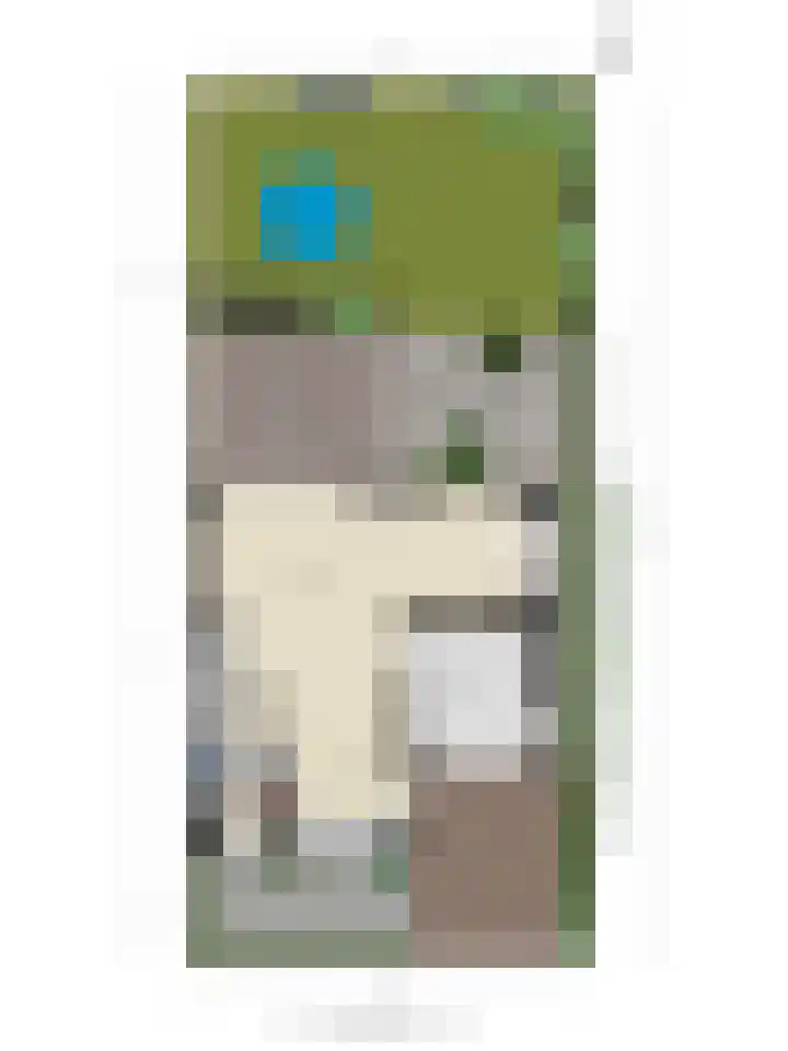 Potakker 25 Alkmaar thumbnail 58